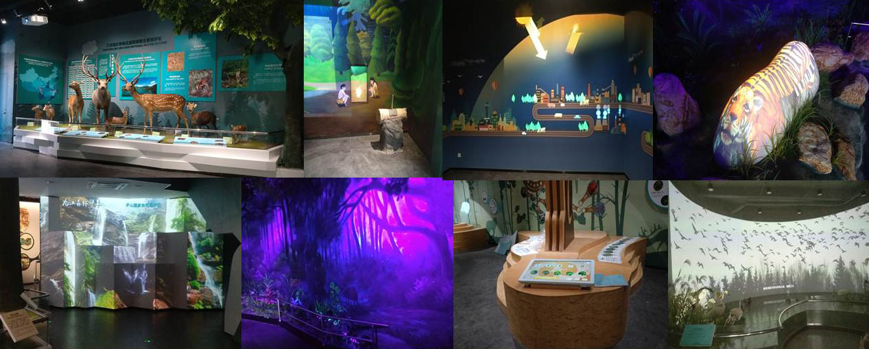 �Ž�ɭ�ֲ����